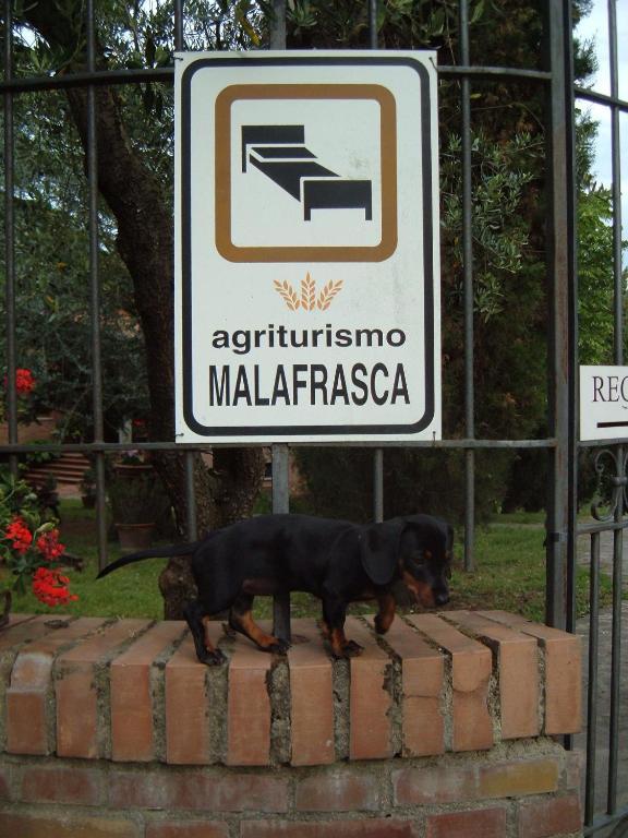 Agriturismo Malafrasca 锡耶纳 外观 照片