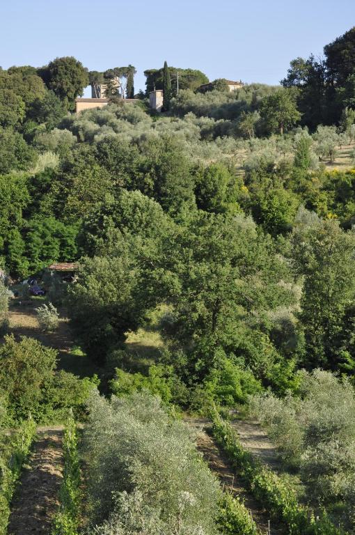 Agriturismo Malafrasca 锡耶纳 外观 照片