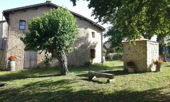 Agriturismo Malafrasca 锡耶纳 外观 照片