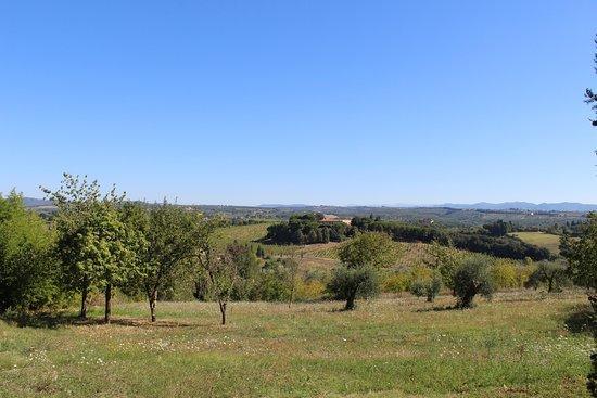 Agriturismo Malafrasca 锡耶纳 外观 照片