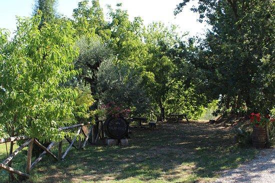 Agriturismo Malafrasca 锡耶纳 外观 照片