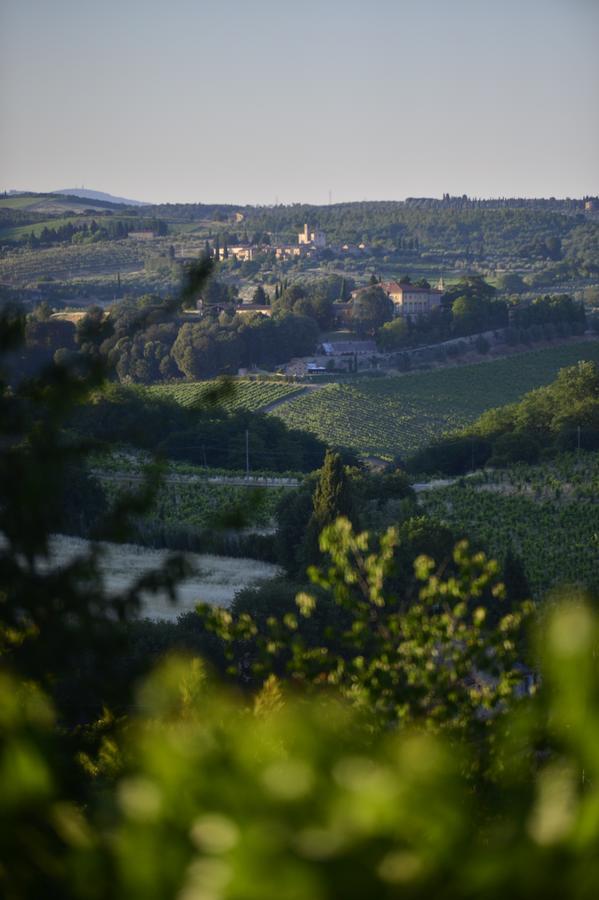 Agriturismo Malafrasca 锡耶纳 外观 照片